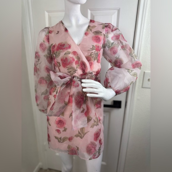 STORIA - Paisley and Floral Embroidered Mini Dress. D28 - Picture 3 of 15